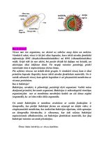 Konspekts 'Antibiotikas', 2.