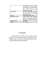 Paraugs 'Reklāmas kampaņas radošais plāns', 2.