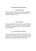 Paraugs 'Reklāmas kampaņas radošais plāns', 3.