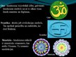 Prezentācija 'Hindi jeb hindustāņi un hinduisms', 15.