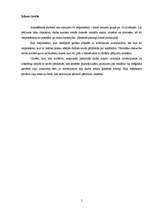 Referāts 'Televīzijas reklāmas ietekme uz cilvēku un cilvēku attieksme pret reklāmu', 5.