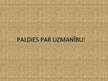 Prezentācija 'Tūrisma nozares raksturojums Lietuvā', 13.