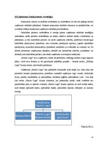 Biznesa plāns 'Biznesa plāns', 11.