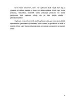 Biznesa plāns 'Biznesa plāns', 13.