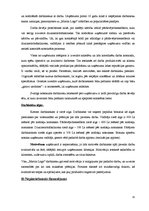 Biznesa plāns 'Biznesa plāns', 15.