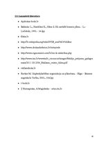 Biznesa plāns 'Biznesa plāns', 19.