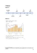 Biznesa plāns 'Biznesa plāns', 20.