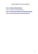 Referāts 'Sikhisms', 15.