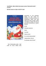 Konspekts 'Ingo Zīgners "Mazais pūķis Kokosrieksts apciemo Ziemassvētku vecīti" - grāmatas ', 1.