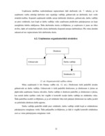 Biznesa plāns 'Biznesa plāns enerģētisko kārklu audzēšanai', 32.