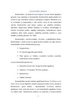 Referāts 'Kā izpaužas komerctiesības Eiropas Savienības likumdošanā?', 3.