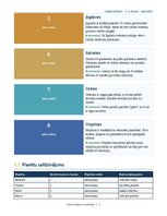 Paraugs 'Saules sistēma un planētas 3.–4. klasei', 5.