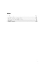 Paraugs 'Rakstzīmju virkne', 2.