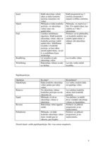 Paraugs 'Rakstzīmju virkne', 6.