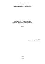 Referāts 'Metafiziskā glezniecība - Kiriko daiļrades interpretācija', 1.
