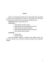 Referāts 'Malaizija', 1.