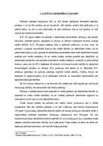 Referāts 'Kapitālsabiedrību pārvalde', 10.