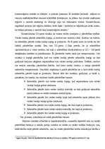 Referāts 'Kapitālsabiedrību pārvalde', 19.