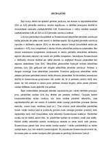 Referāts 'Kapitālsabiedrību pārvalde', 25.