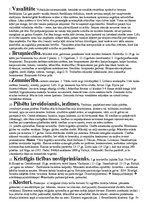 Konspekts 'Konspekts par viduslaikiem', 2.