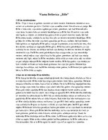 Konspekts 'Grāmatas "Bille" analīze', 1.