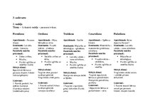 Prakses atskaite 'Kvalifikācijas prakse pirmsskolā', 5.