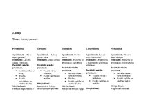 Prakses atskaite 'Kvalifikācijas prakse pirmsskolā', 7.