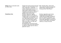 Prakses atskaite 'Kvalifikācijas prakse pirmsskolā', 11.