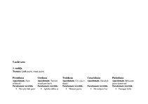 Prakses atskaite 'Kvalifikācijas prakse pirmsskolā', 14.