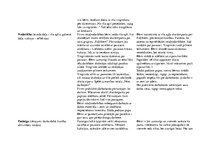 Prakses atskaite 'Kvalifikācijas prakse pirmsskolā', 20.