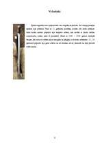 Referāts 'Zobeni senajā Eiropā', 6.