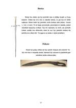 Referāts 'Zobeni senajā Eiropā', 14.