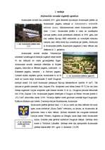 Referāts 'Aizkraukles novads', 4.