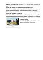 Referāts 'Aizkraukles novads', 14.