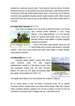 Referāts 'Aizkraukles novads', 21.