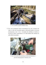 Diplomdarbs 'Harvestera mērierīču kalibrēšanas ietekme uz sagatavotu kokmateriālu dimensionāl', 28.