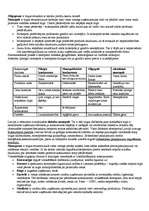 Konspekts 'Tirgus konkurence', 3.