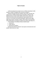 Biznesa plāns 'Biznesa plāns kafejnīcai', 6.