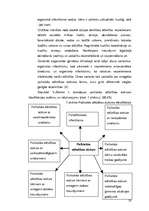 Diplomdarbs 'Valodas pilnveidošanas nozīme sākumskolas skolēniem ar psihiskās attīstības aizt', 20.