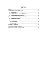 Referāts 'Uzņēmējdarbības vide Tukuma rajonā', 2.