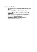 Referāts 'Akcelerācija', 6.