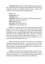 Konspekts 'Kipra', 1.