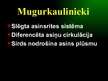 Prezentācija 'Asinsrites sistēma', 6.