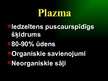 Prezentācija 'Asinsrites sistēma', 12.