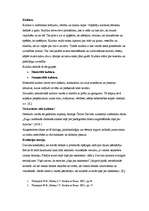 Konspekts 'Kultūra, kultūršoks, kultūras jēdziens', 1.