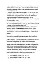 Konspekts 'Kultūra, kultūršoks, kultūras jēdziens', 2.