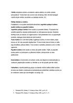 Konspekts 'Kultūra, kultūršoks, kultūras jēdziens', 3.