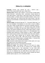 Konspekts 'Zīdtauriņi un zīdkopība', 1.