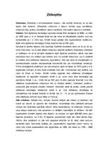 Konspekts 'Zīdtauriņi un zīdkopība', 2.