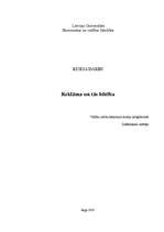 Referāts 'Reklāma un tās būtība', 1.